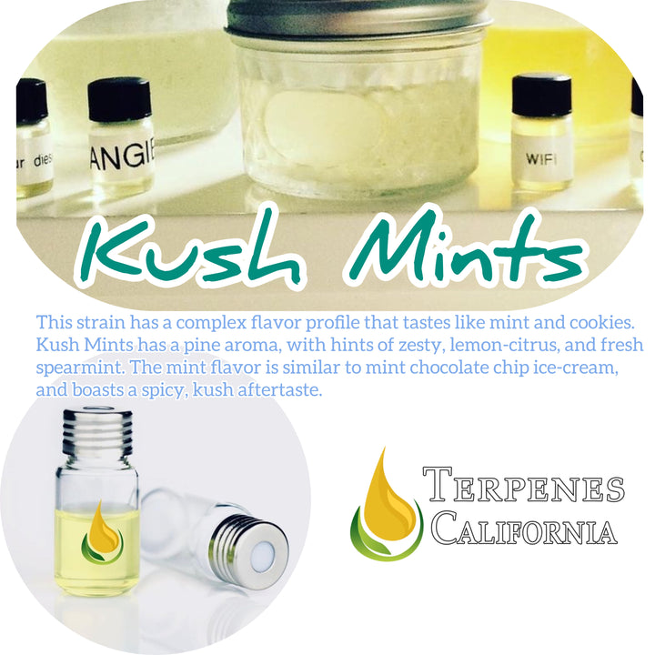 Pure Clean CDT     Essential Oil Massage Terpenes, Kush Mints